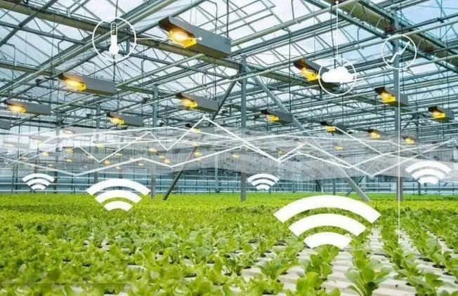 無(wú)土栽培,無(wú)土栽培技術(shù),無(wú)土栽培設(shè)備