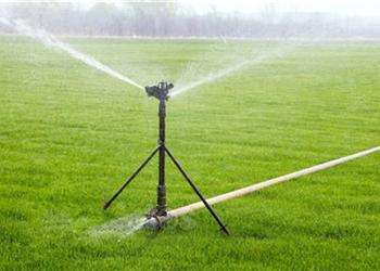 無土栽培，無土栽培技術，無土栽培設備