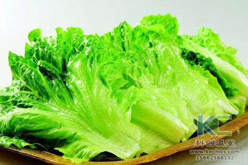 無土栽培，無土栽培技術，無土栽培設備