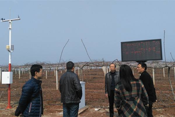 無土栽培，無土栽培技術，無土栽培設備