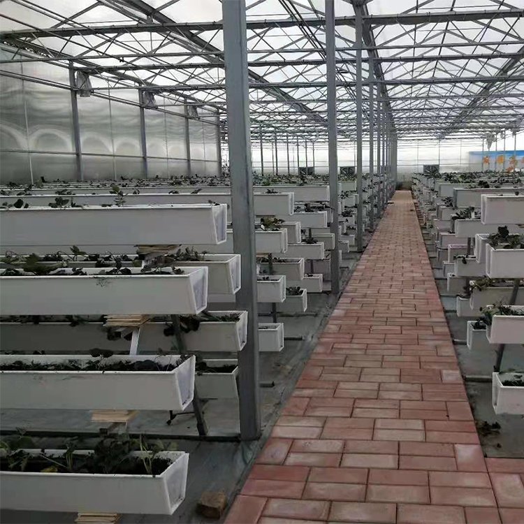 無土栽培，無土栽培技術，無土栽培設備