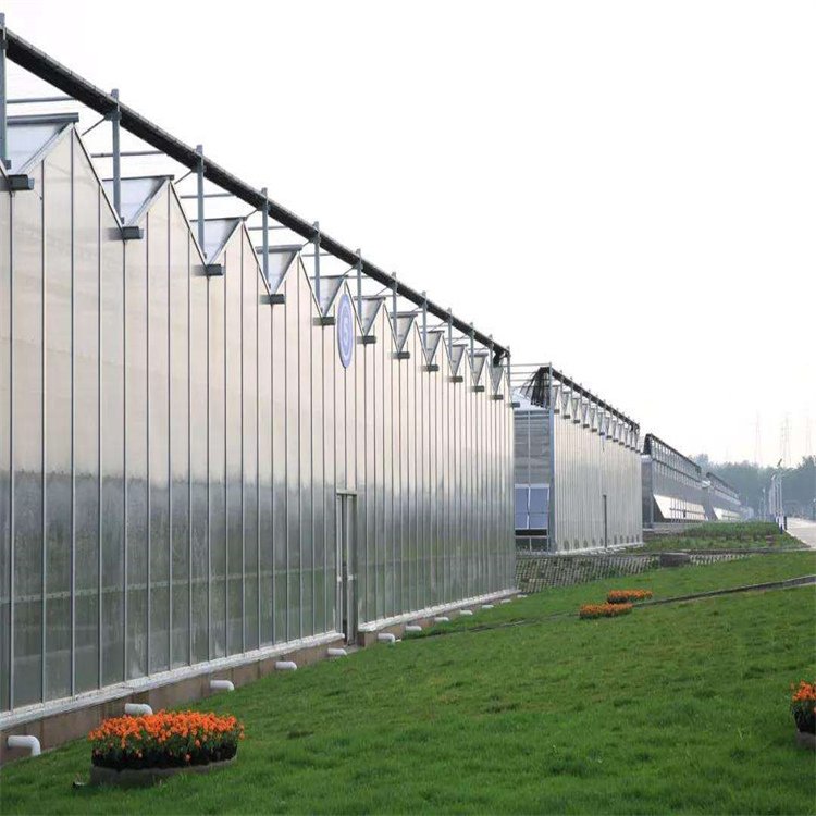 無土栽培，無土栽培技術，無土栽培設備