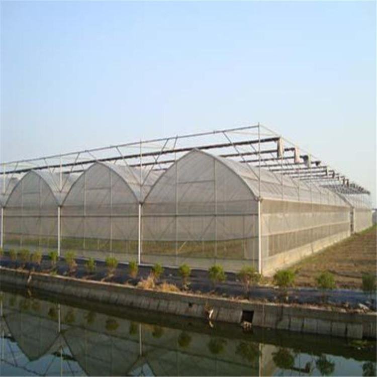 無土栽培，無土栽培技術，無土栽培設備