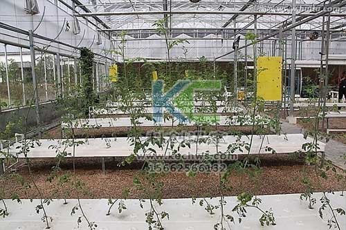 無土栽培，無土栽培技術(shù)，無土栽培設(shè)備
