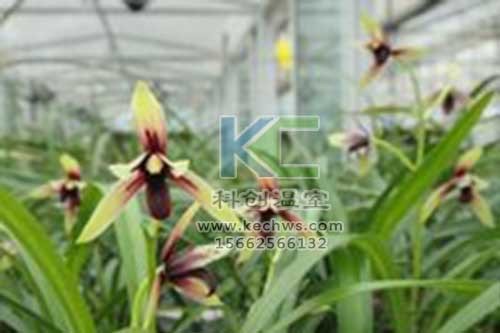 無土栽培，無土栽培技術，無土栽培設備