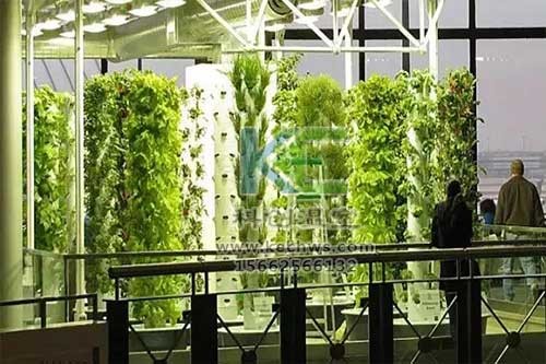 無(wú)土栽培，無(wú)土栽培技術(shù)，無(wú)土栽培設(shè)備