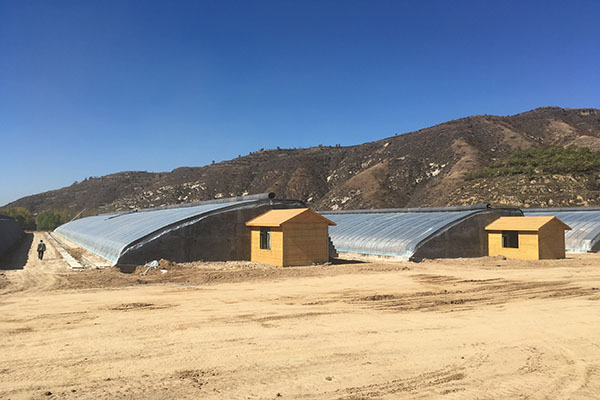 無土栽培，無土栽培技術，無土栽培設備