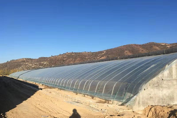 無土栽培，無土栽培技術，無土栽培設備