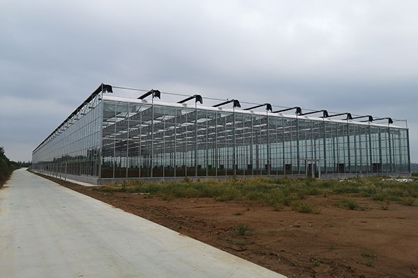 無土栽培,無土栽培技術,無土栽培設備